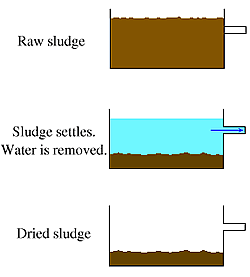 Sludge Lagoon from VCCS.edu
