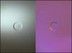Pigments-Image