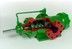 Progressing Cavity Pumps-Image