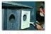 Coating Services-Image