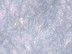 Fibers and Filaments-Image