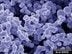 Nanoparticle and Powder Processing Services-Image