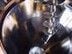 Conical Screw Mixers-Image