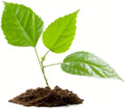Inorganic Ventures