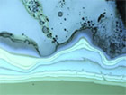 Leica Microsystems, Inc.