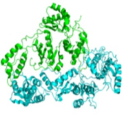 Life Sciences, Inc.