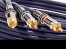 New England Wire Technologies Corporation