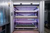 ifm electronic gmbh - Optimizing vertical farming with sensors by ifm 