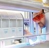 Simple & Efficient UV LED Curing Lab Equipment-Image