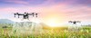 Molex Signal Tech Industrial Ltd. - Protecting crops by charging agricultural drones