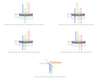 Alluxa, Inc. - What are thin-film optical filters?