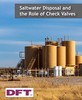 DFT Inc. - Oil & Gas Check Valves for Saltwater Disposal