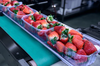 Encoder Products Company - Encoder Solutions for Food Industry