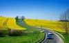 Chromalox - Case Study: Biofuels Manufacturing & Heat Trace