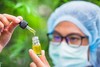 Chromalox - Case Study:MOS Hot Oil Transfer System CBD Extract