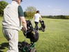 parvalux by maxon -  Golf Trolley Motors