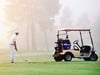 parvalux by maxon - Golf Cart & Caddy Motors