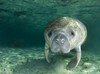 Chromalox - Sustainability: Our Environment