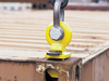 Columbus McKinnon Corporation - Container lifting lugs model CLT