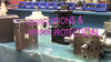 DieQua Corporation - Spiral Bevel Gearbox HOUSING OPTIONS