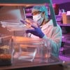 Animal Science and Research-Image
