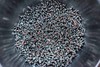 ZAGO Manufacturing Company, Inc. - PRO-TIPS FOR CHOOSING SCREW MATERIAL