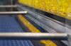 Pyromation - Sanitary CIP Temperature Sensors - Food/Beverage 