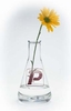 Paratherm — Heat Transfer Fluids - ULTRA-PURE MINERAL OIL W/HIGH NAPHTHENIC CONTENT