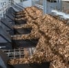 AMETEK Land - What Makes Stored Biomass Self-Ignite?