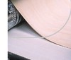 Habasit America - Habasit Premium TPU Food Belts