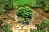 CHT USA Inc. - CHT GROUP SUSTAINABILITY REPORT 2022 