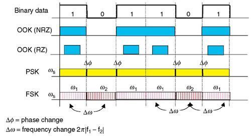 04_04_DWDM-4.jpg