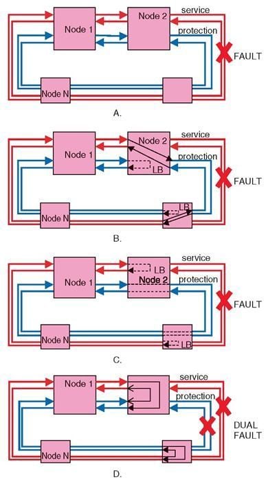 04_09_DWDM-9.jpg