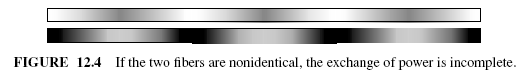 FIGURE 12.4 If the two fibers are nonidentical, the exchange of power is incomplete.