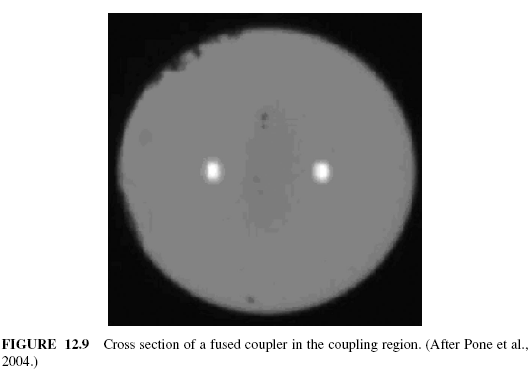FIGURE 12.9 Cross section of a fused coupler in the coupling region.