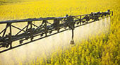 Agriculture & Food