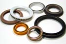 Sealing and Polymer Solutions, Saint-Gobain Seals