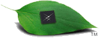 Green Initiative