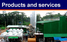 Energy International