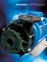TMAG Pumps