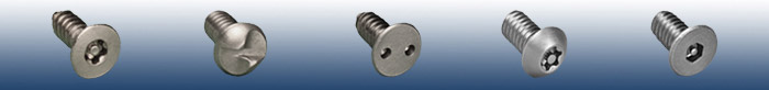 Tamper-Pruf Screws