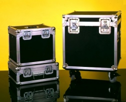 U.S. Case