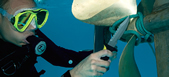 Underwater Kinetics