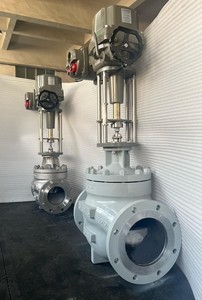 Extreme-Temp Motorized Globe Valve-Image