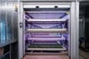 Optimizing vertical farming with sensors by ifm-Image