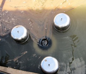 Addressing parts staining in aqueous bath cleaning-Image