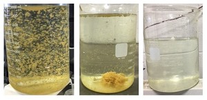 Industrial Wastewater Treatment Case Study-Image