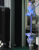 Single variable gage length measurement-Image