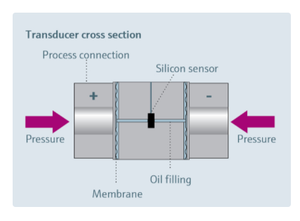 Silicon Technology from Endress + Hauser-Image