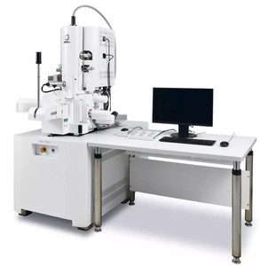 Ultrahigh Resolution Field Emission SEM-Image